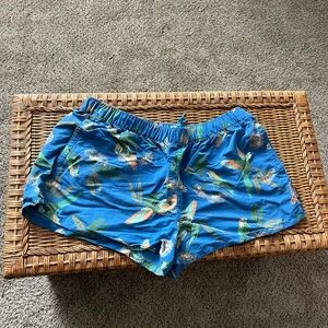 Patagonia Blue Bird Print Athletic Shorts
